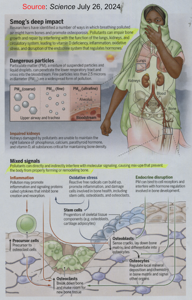 Smog and its imact on human health