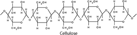 Cellulose diagram