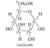 Glucose diagram