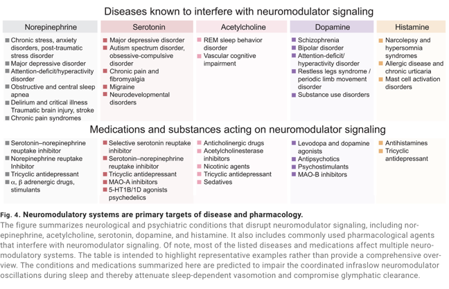 Neurotransmitters and diseases