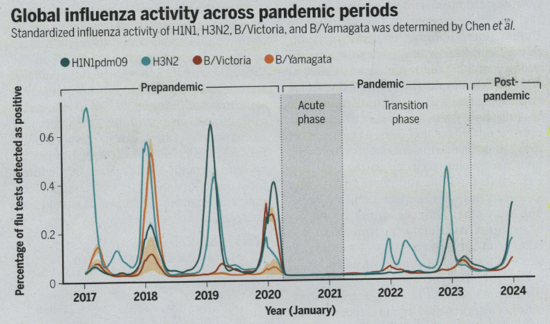Global influenze activity across pandemic periods