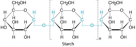 Starch diagram