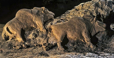 Bison scuptures from 15 000 BCE 