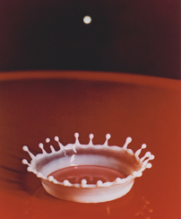 Milk drop stop action