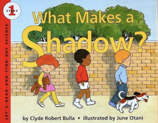 What Makes a Shadow