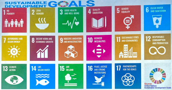 Sustainable development goals