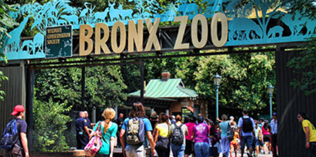 Bronx zoo