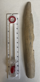 Bone or Bark