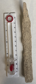 Bone or Bark