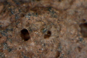 Lava 50x