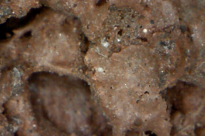 Lava 50x