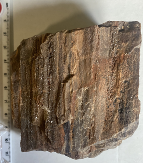 Petrified wood