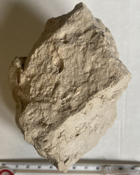 Mudstone