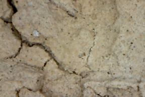 Mudstone