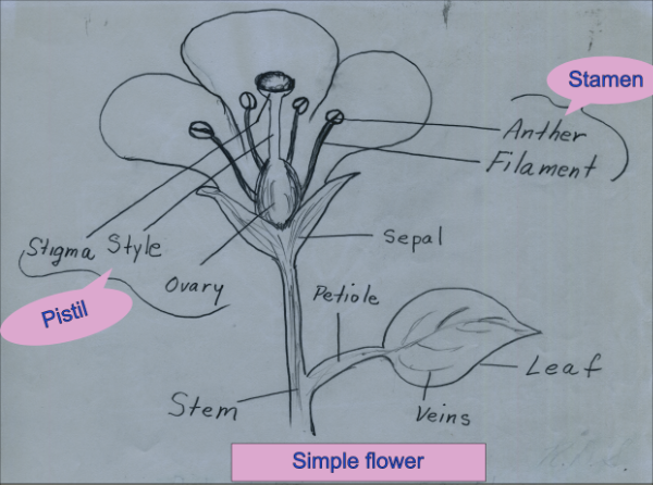 Simple flower