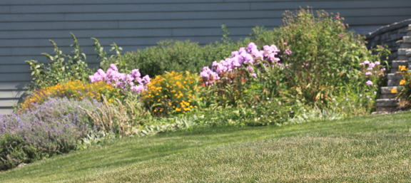 Flower garden