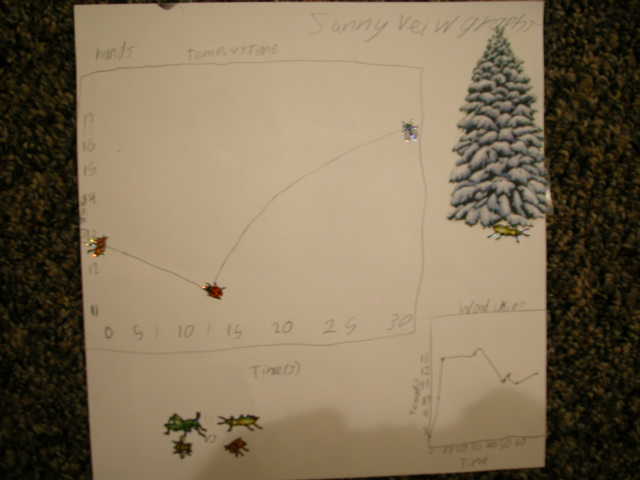 Light walk Sunnyview 1