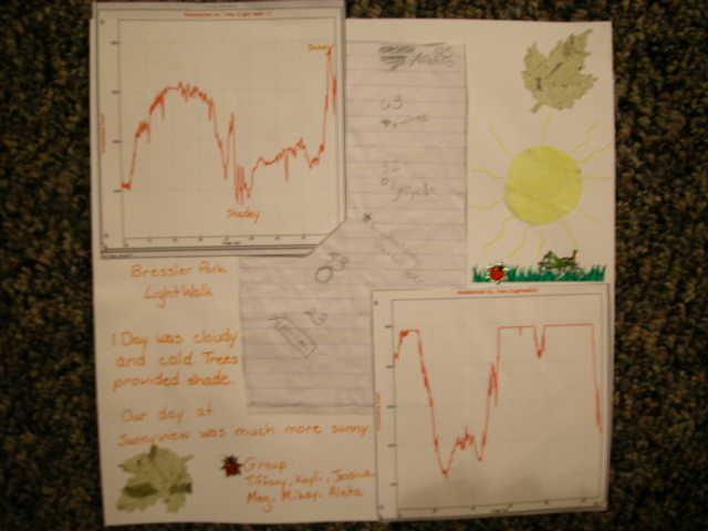 Light walk Sunnyview 2