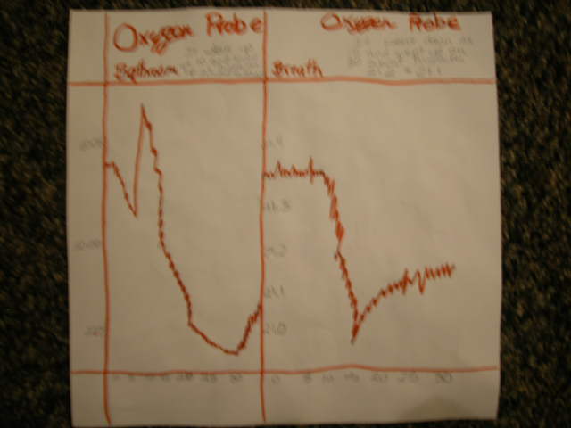 

Oxygren probe in bathroom and breath