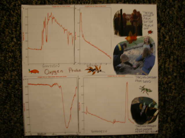 Oxygen probe Sunnyview