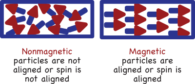Mantetic and nonmagnetic model
