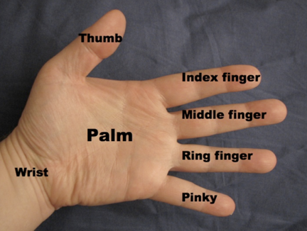 Finger labels