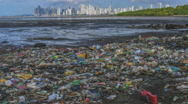 Plastic pollution