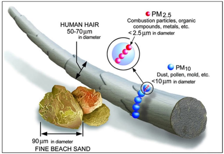 Model particulate matter