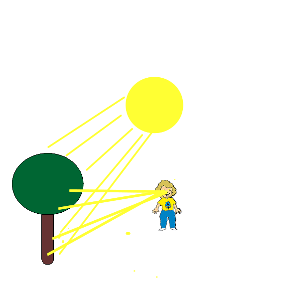 Light reflects to eye